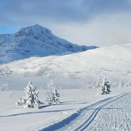 At Stølstunet In Beitostølen * Beitostolen